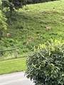 156 Deems Ln - Photo 28