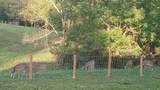 18406 Stanaford Rd - Photo 3