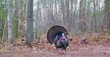 18201 Wv-12 - Photo 18