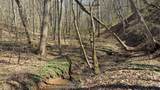  Pinhook Rd - Photo 9