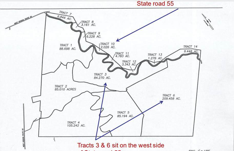 Tract 3 Alley Mountain Rd - Photo 1