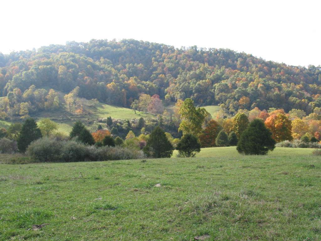 Rt 12 Alta Drive - Photo 1