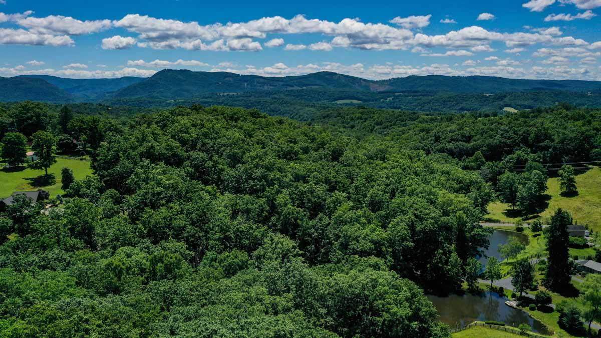751 + 771 Lipps Rd - Photo 1