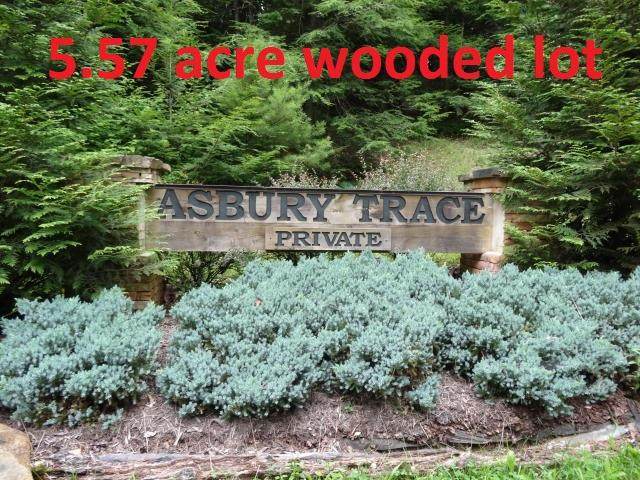 Lot 3 Asbury Trace - Photo 1