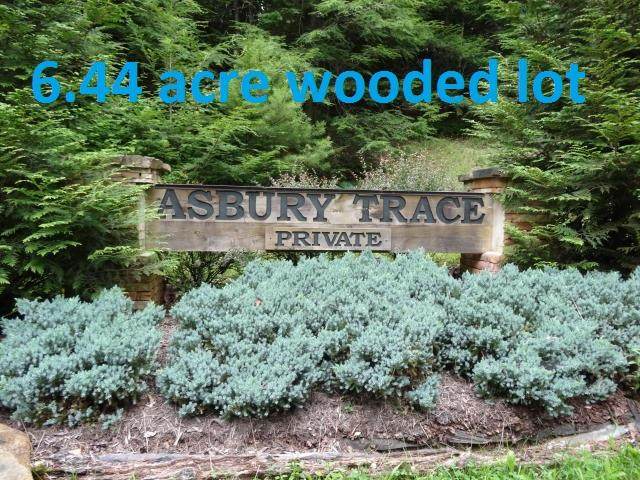 Lot 10 Asbury Trace - Photo 1