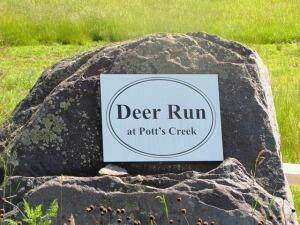 Deer Run At Potts Creek - Photo 1