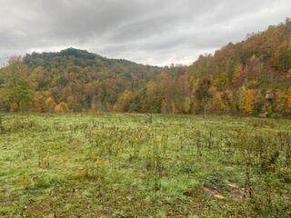 Brushy Meadow Crk - Photo 1