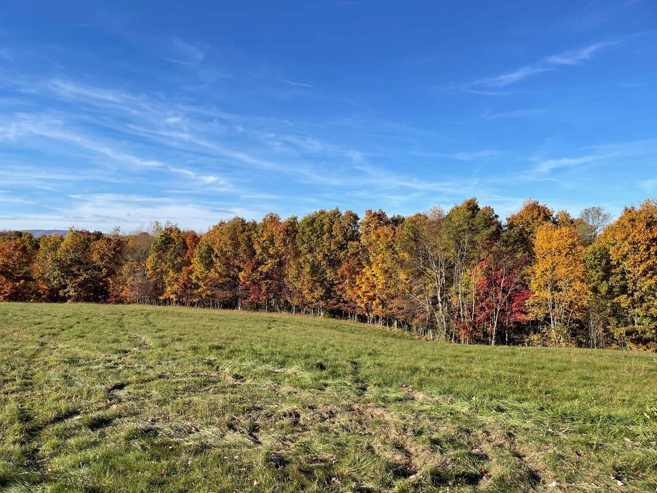 2619 Flat Mountain Rd - Photo 1
