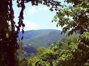 1 Little Mountain - Photo 1