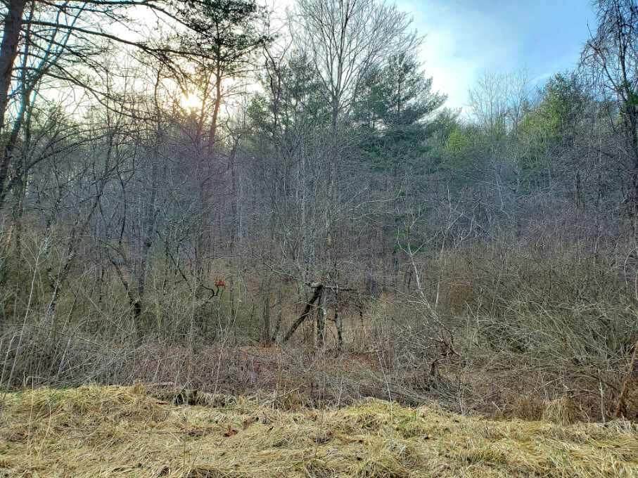 Lot 57 Overlook At Greenbrier - Photo 1