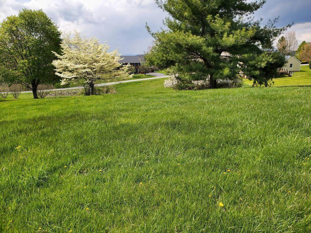 Lot 56 Raven View Lane - Photo 1