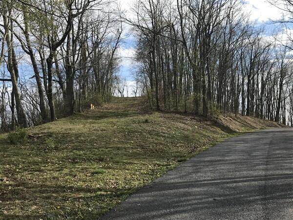 Lot 117 Withrow Landing, The Retreat - Photo 1
