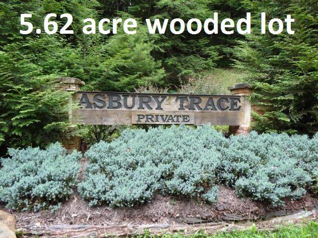 Lot 25 Asbury Trace - Photo 1