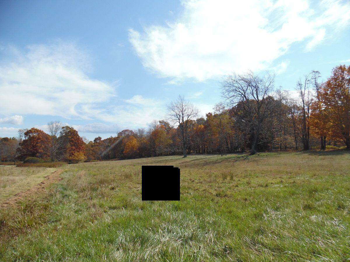 1830 E Woodrow Branch - Photo 1