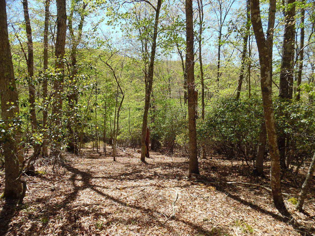 2 Laurel Circle - Photo 1