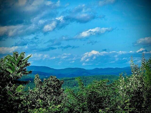 Overlook At The Greenbrier - Photo 1