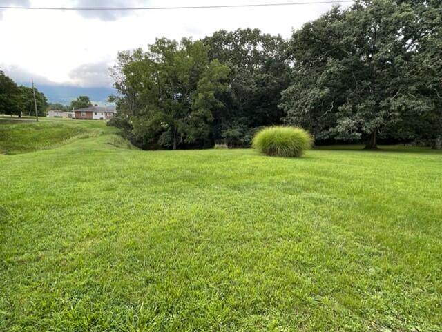 Lot 6 Woodland Dr - Photo 1