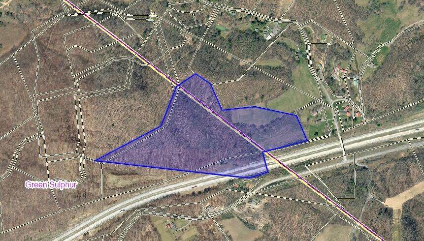 Morris Branch Road - Photo 1