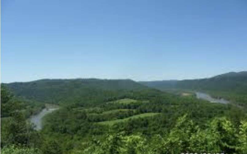 Grandview Dr. - Photo 1