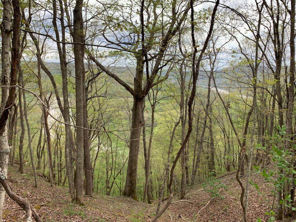 Grandview Dr. - Photo 1