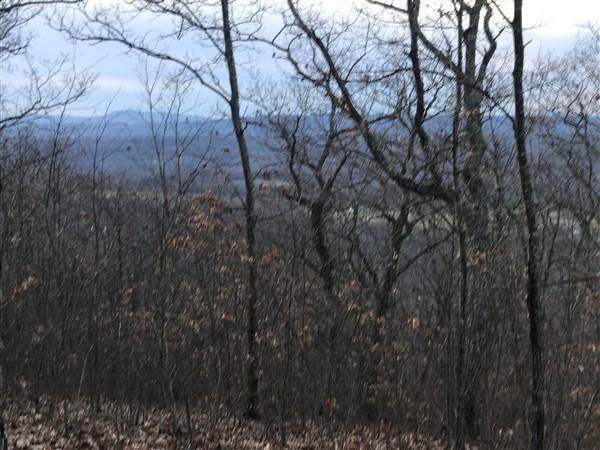 Lot 62 North Slope - Photo 1
