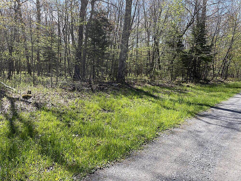 25 Hunters Ridge - Photo 1