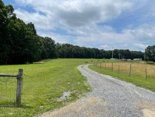 145 White Tree Hl - Photo 1