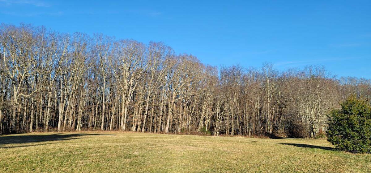 2451 Ritter Dr - Photo 1