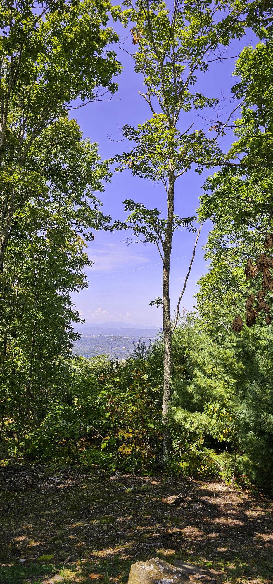 https://bt-photos.global.ssl.fastly.net/greenbrier/1280_boomver_1_24-1258-2.jpg