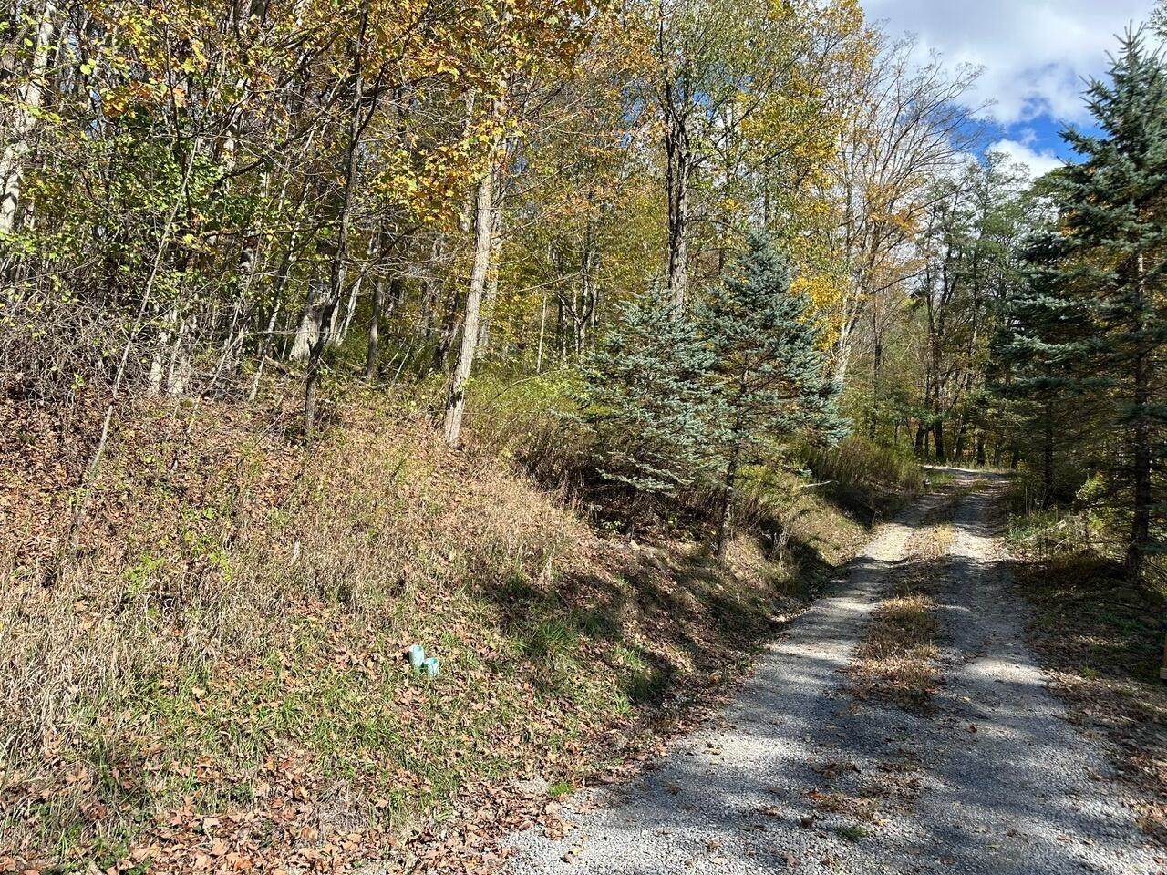 https://bt-photos.global.ssl.fastly.net/greenbrier/orig_boomver_1_24-1321-2.jpg