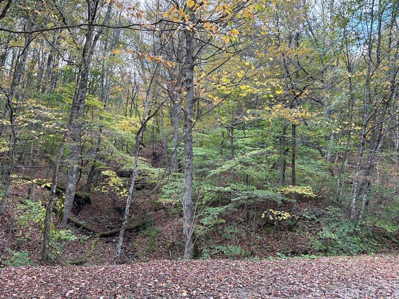 https://bt-photos.global.ssl.fastly.net/greenbrier/orig_boomver_1_24-1322-2.jpg