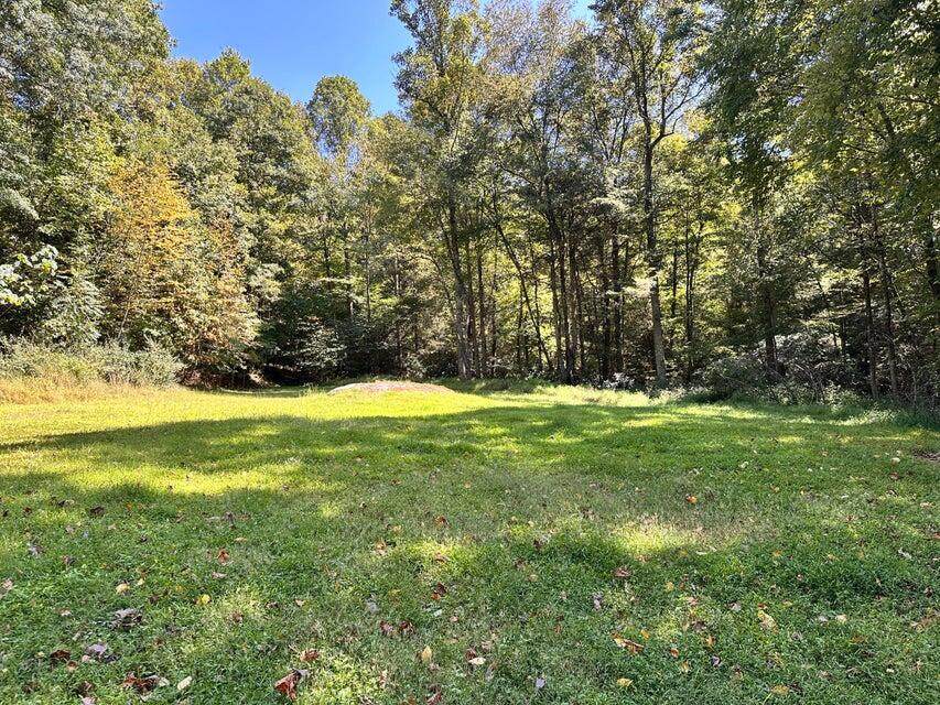 2133 Wilderness Hwy - Photo 1
