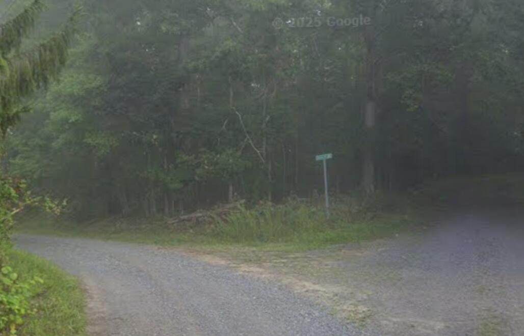 335 Lilly Mountain Rd - Photo 1