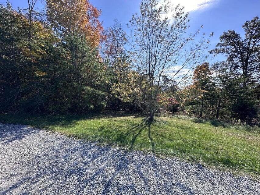 Lot 52 Bee Tree Ln - Photo 1