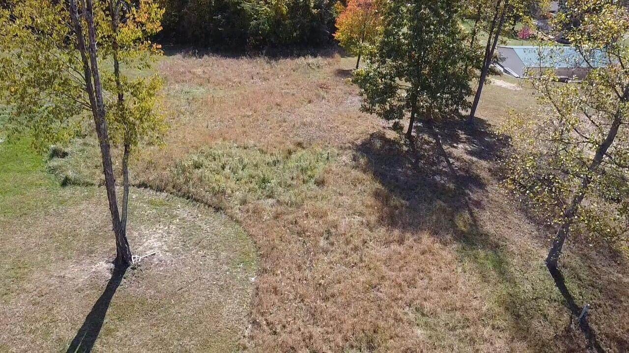Lot 54 Bee Tree Ln - Photo 1