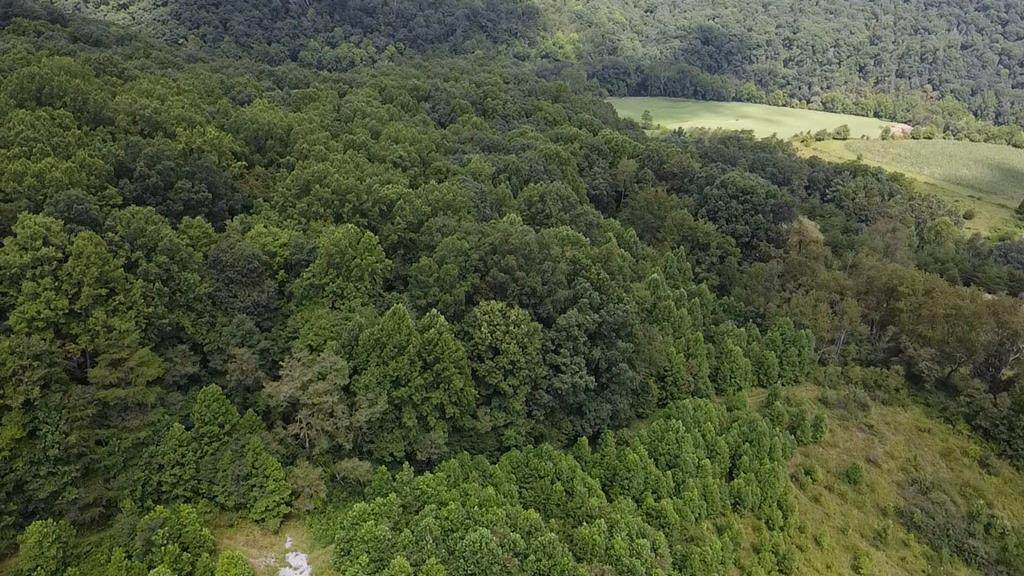 0 Scenic Dr. - Photo 1