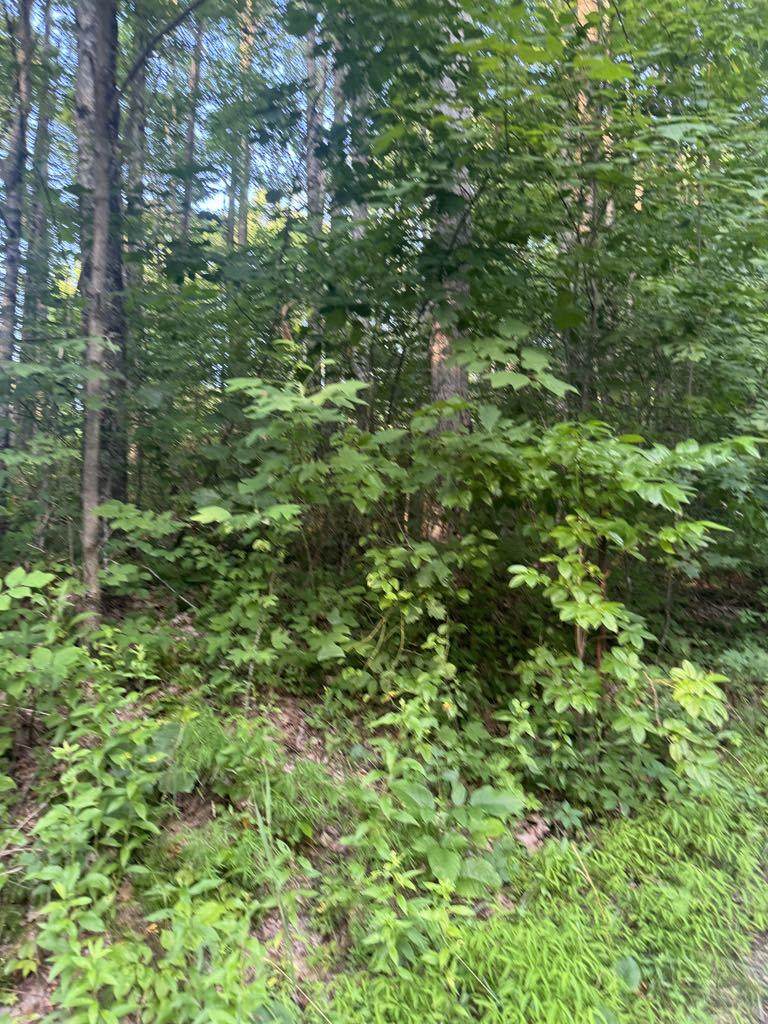 https://bt-photos.global.ssl.fastly.net/greenbrier/1280_boomver_1_25-818-2.jpg