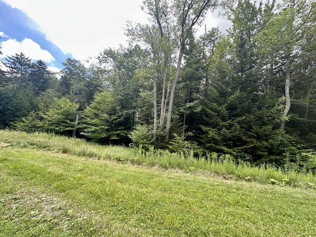 https://bt-photos.global.ssl.fastly.net/greenbrier/orig_boomver_1_26-1061-2.jpg