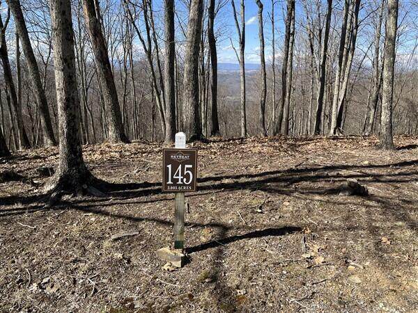 Lot 145 Withrow Landing - Photo 1