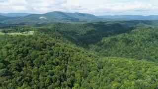 https://bt-photos.global.ssl.fastly.net/greenbrier/orig_boomver_1_26-1214-2.jpg
