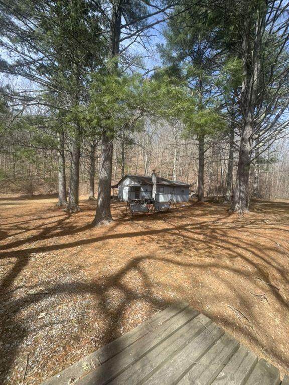 290 Wildcat Run Rd - Photo 1