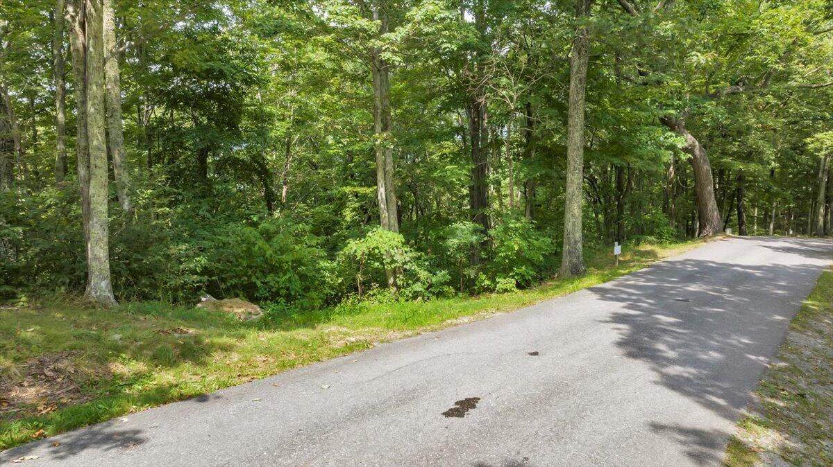 Lot 17 Wildwood Ridge - Photo 1