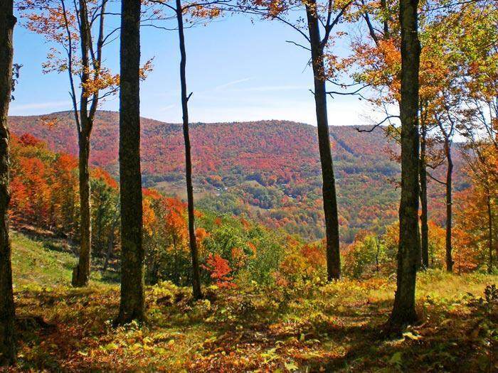 https://bt-photos.global.ssl.fastly.net/greenbrier/orig_boomver_1_26-399-2.jpg