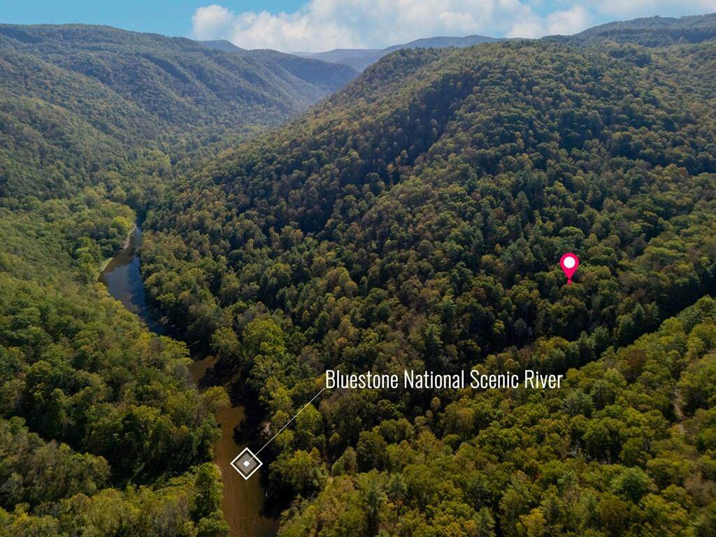 0 Bluestone River Road - Photo 1