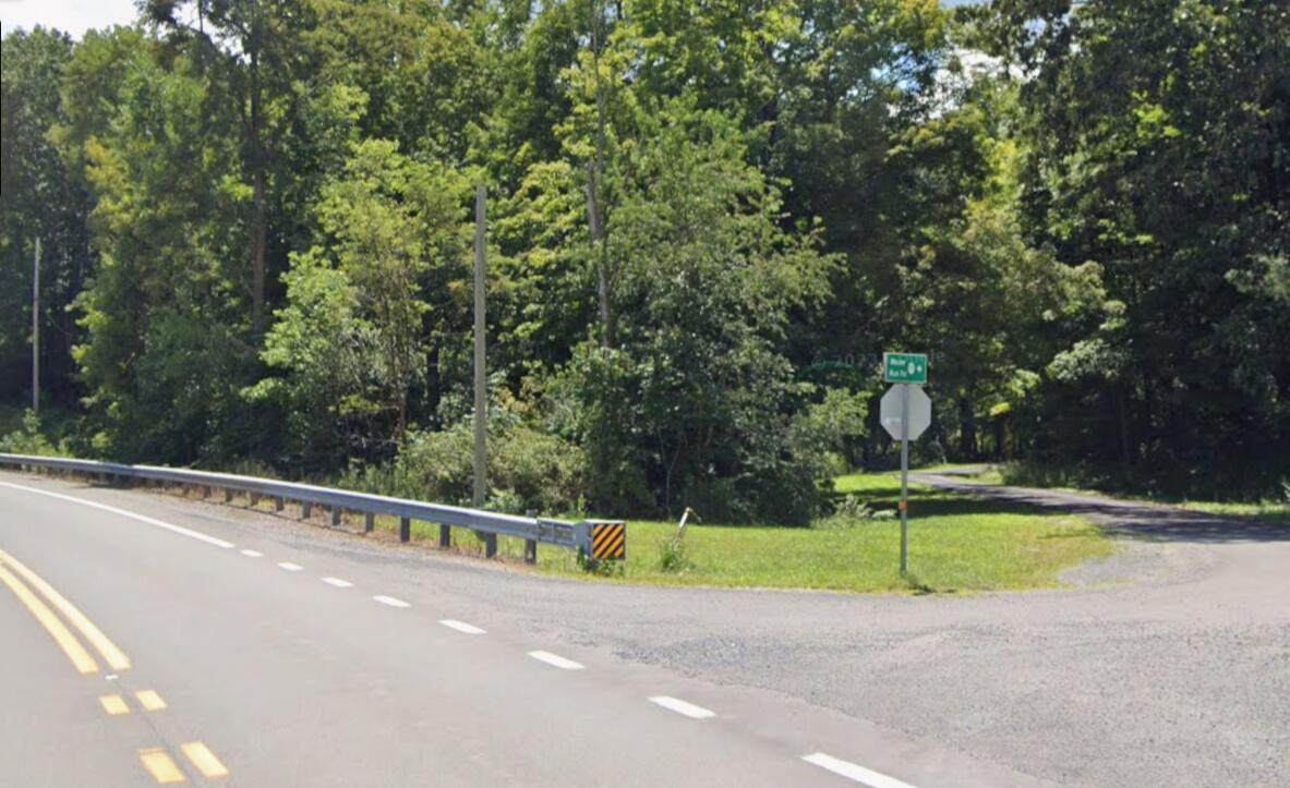 11049 Barbour County Hwy - Photo 1
