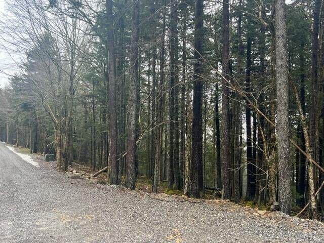 https://bt-photos.global.ssl.fastly.net/greenbrier/orig_boomver_1_26-849-2.jpg