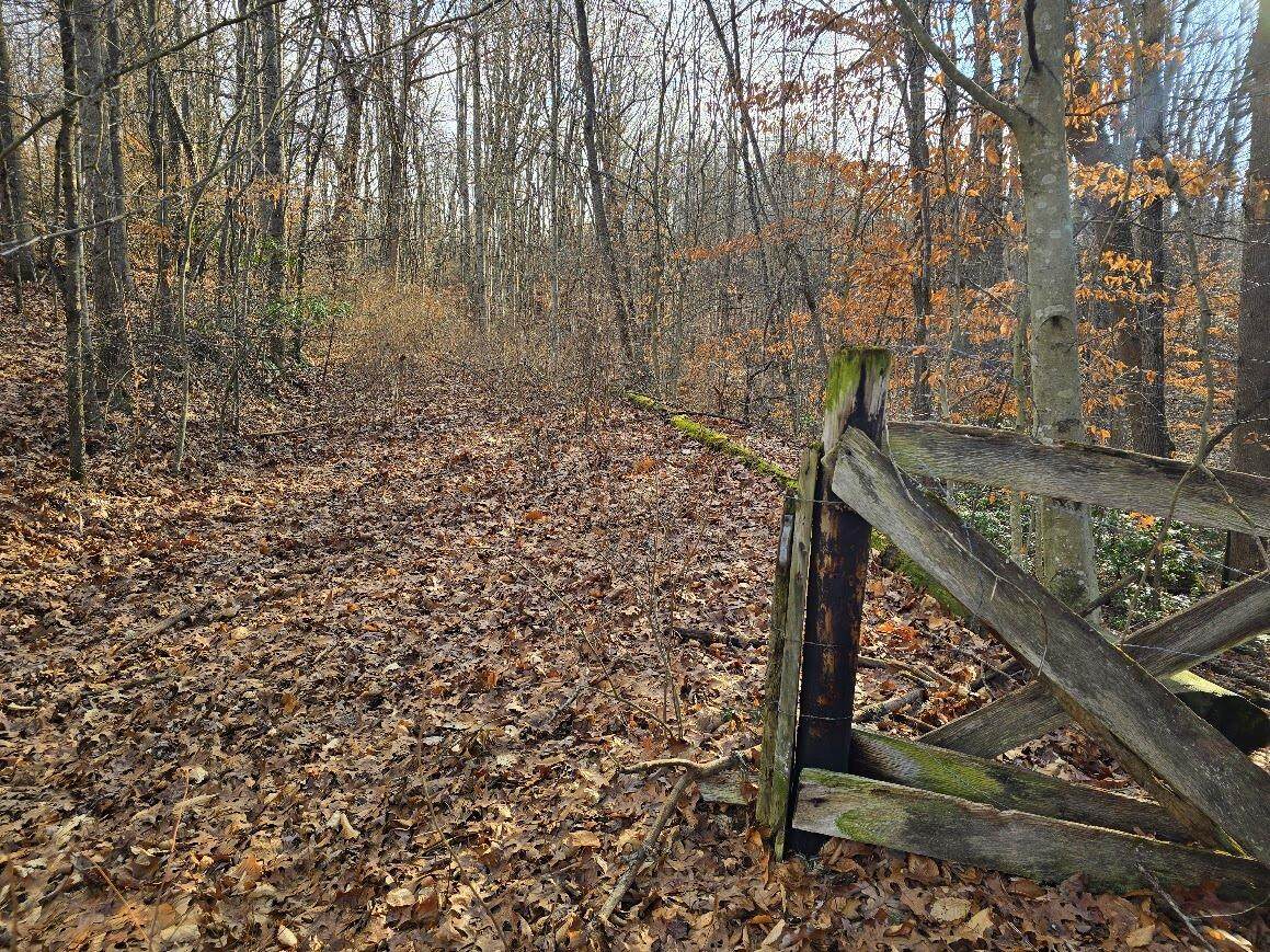  Collinwood Drive - Photo 1