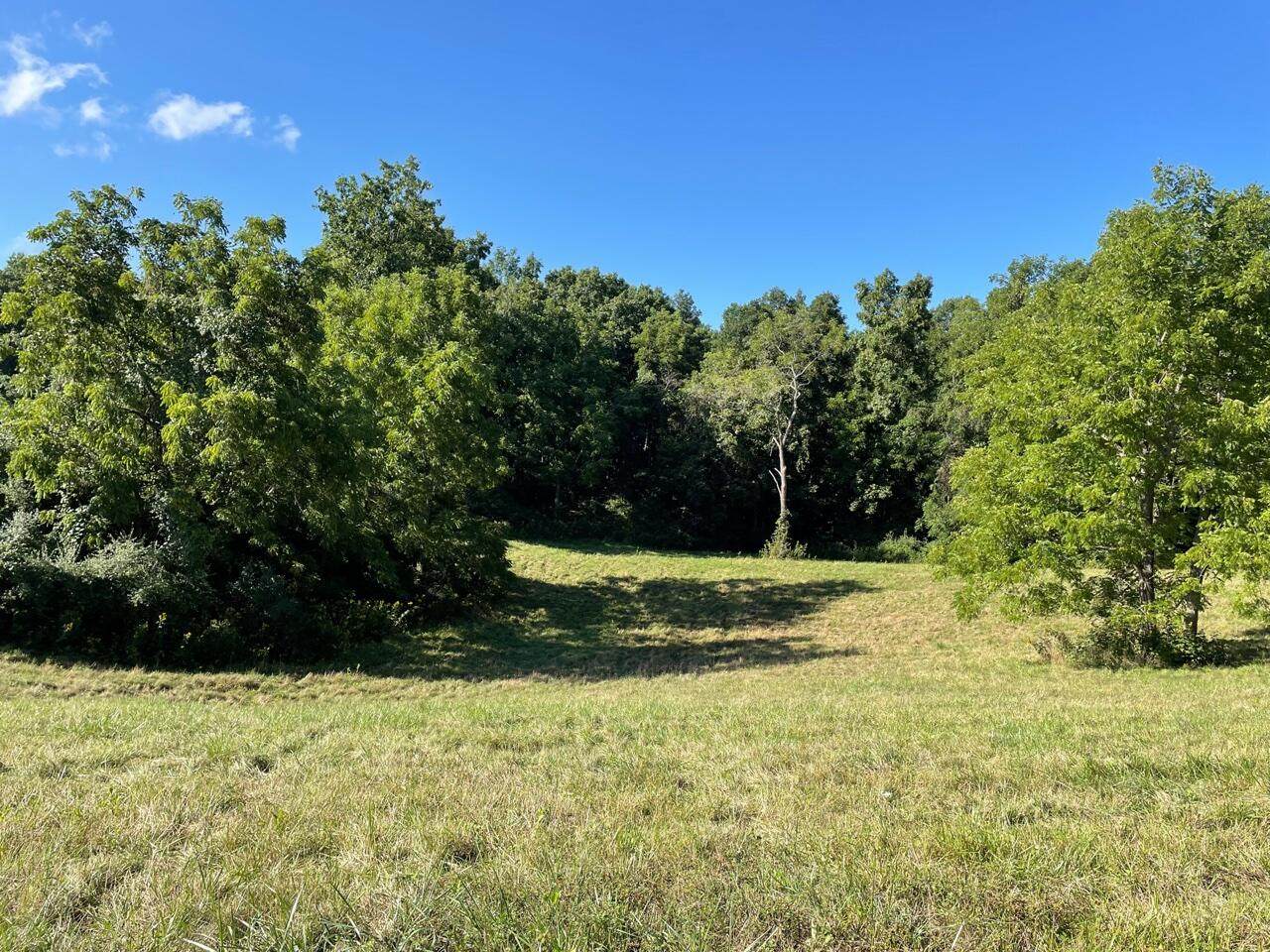 Lot 13 Kestrel Corner Ln - Photo 1