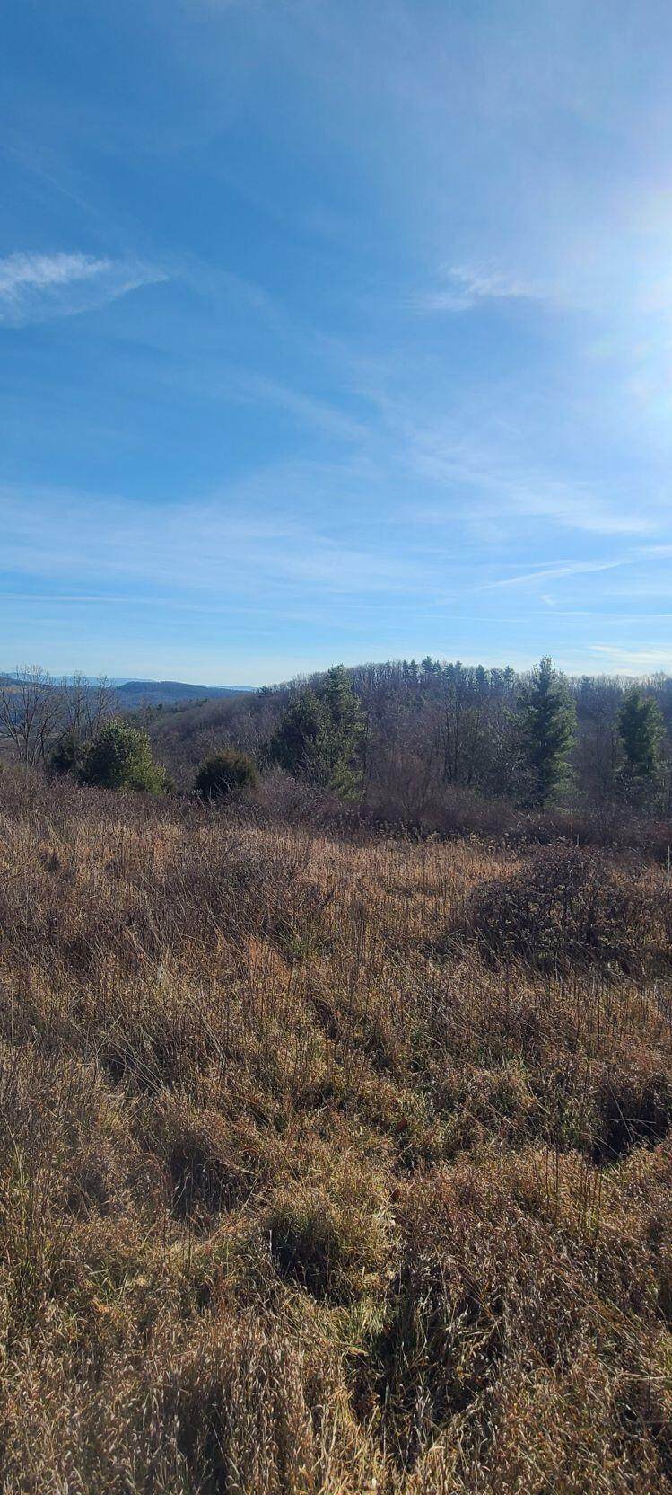 123 Ellison Ridge - Photo 1