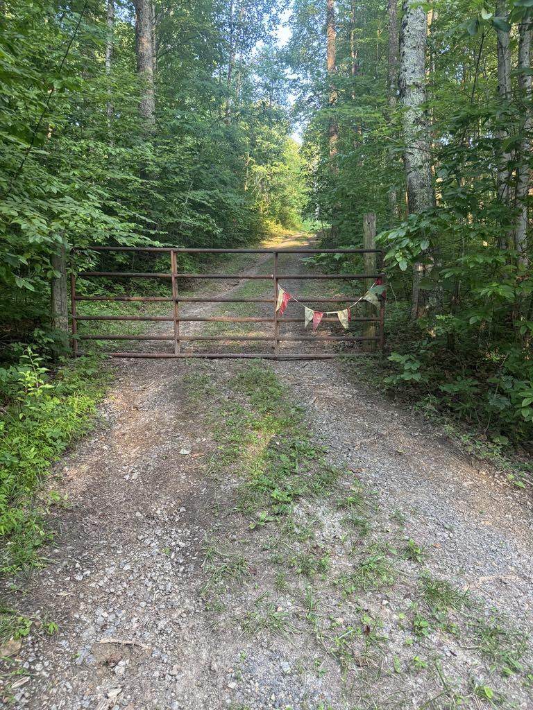 Backus Mountain Road - Photo 1